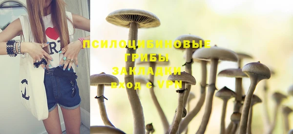 эйфоретик Богданович