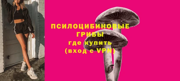 эйфоретик Богданович