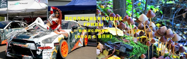 эйфоретик Богданович